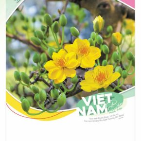 In lịch nẹp thiếc